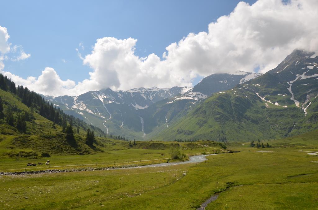 Winklers Gipfelblick Chalet, Inklusive Alpentherme - Ganzjahrig, Gasteiner Bergbahn - Nur Sommer Bad Hofgastein Eksteriør bilde