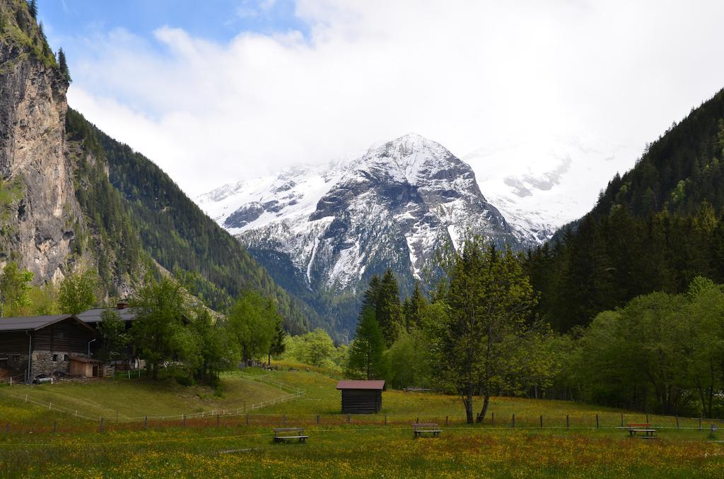 Winklers Gipfelblick Chalet, Inklusive Alpentherme - Ganzjaehrig, Gasteiner Bergbahn - Nur Sommer Bad Hofgastein Eksteriør bilde