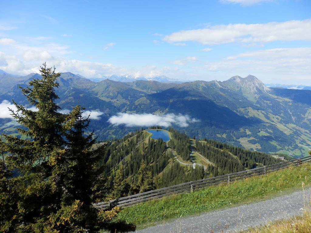 Winklers Gipfelblick Chalet, Inklusive Alpentherme - Ganzjahrig, Gasteiner Bergbahn - Nur Sommer Bad Hofgastein Eksteriør bilde